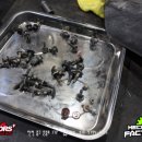 에이스정비 이미지