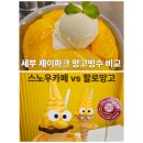 스노우망고 | 세부 제이파크 망고빙수 비교 | 스노우카페 vs 할로망고 솔직 후기