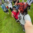 수원-0609 | 아니아니 너무 바빠서 그만 ; (2주간의 일상, DMZ+APF 짧은후기)