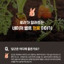 쇼블리 네이버블로그