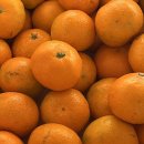 석사민주약국 | Winter is coming☃️