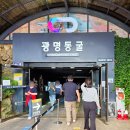 (사)안산시장애인단체총연합회 | 광명동굴 입장료 할인 + 주차장, 아기랑 동반 준비까지