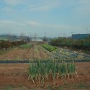 궁말농장 이미지