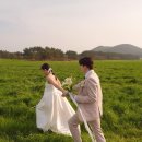 제주 보고정 투어 | 제주스냅 우리의봄날 웨딩스냅 후기 (제주스냅 준비물, 꿀팁, 시안)