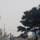 김포 &#39;한옥마을 감성공감 콘서트&#39; 무료 후기