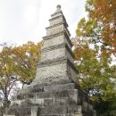 여주-0045 Daum카페