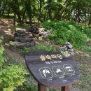 모담산 유아숲체험원 이미지