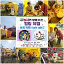 볼런티움 한강 2026. 각당복지재단에서 주최하는 한강공원에서 푸놀치 힐링체험 마음 톡톡 즐겁게 봉사하며 새로운 시작을 이미지
