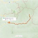 자작나무숲정상 이미지