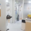 로열브릿지어학원
