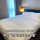 센텀프리머스호텔 | 부산 센텀시티 호텔 벡스코 숙소 추천 센텀 프리머스 호텔 내돈내산 후기 (구)프리미어호텔
