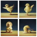 서울시 야생동물 구조센터 이미지