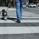 (주)리코 이미지