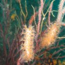 남해-293 이미지