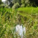 침산농장 이미지