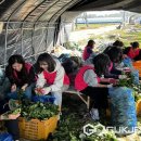 덕산읍행정복지센터 이미지