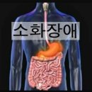 제이엘피트니스 다대점 네이버블로그