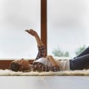 성도산업 1호 태양광발전소 | 원자련 발전소 시공 기업들