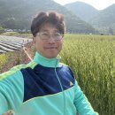 부귀농장 이미지