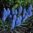 도원공인중개사사무소 이미지