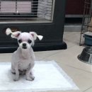 신일산동물병원 이미지