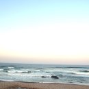 동해유정란농장 이미지