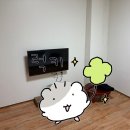 게스트하우스책방 | 군산 게스트하우스 책방 1인실 후기