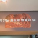 베이커리501 이미지