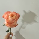 송현농장 이미지