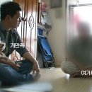 애견나라 이미지