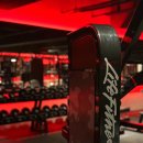 신기세천 이미지