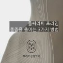 브리즈성형외과