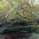 제비2리 이미지