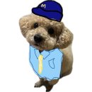 중화실업 | 2월 발렌타인데이 고백 후기 / 성공하는법 @2월 일상