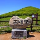 10월1일/2일 토요무박 곰배령,자작나무숲 이미지