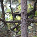 산성시장6 이미지