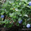 농협농산물직판장 이미지