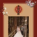중국에서 결혼을 앞둔 한 팬의 편지🥰 이미지