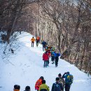 예소원 | 태백산에서 짊어지고 내려온 희망한단
