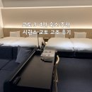 교토 3인 숙소 추천 | 시퀀스 교토 고조 후기 (4베드룸 객실, 위치, 가격)