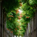 송현공원(이동) 이미지