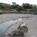 서귀포자연휴양림야영장 이미지