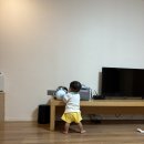 씨유영종웨스턴호텔점 | 제주 아기 숙소 더베스트웨스턴 호텔 온돌방 8개월아기