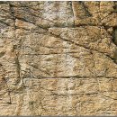 늠내길3코스 옛길 이미지