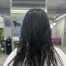 설희헤어센스