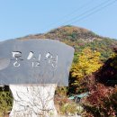 동동동심원 Daum카페