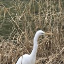 살곶이길 이미지