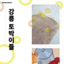 토박이 - 포항시 북구 중흥로101번길 16 | 토박이