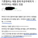 왜 동물만 돼? 나도 미비혼들한테 남편, 자식 얘기하고 싶어 이미지