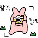 센추리헤어갤러리